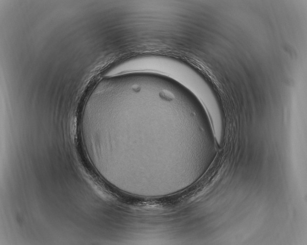 X0000113050589200909241457