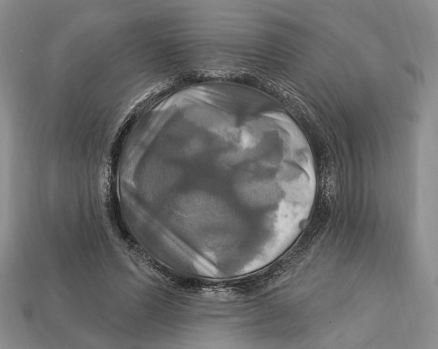 X0000113050591200909241457