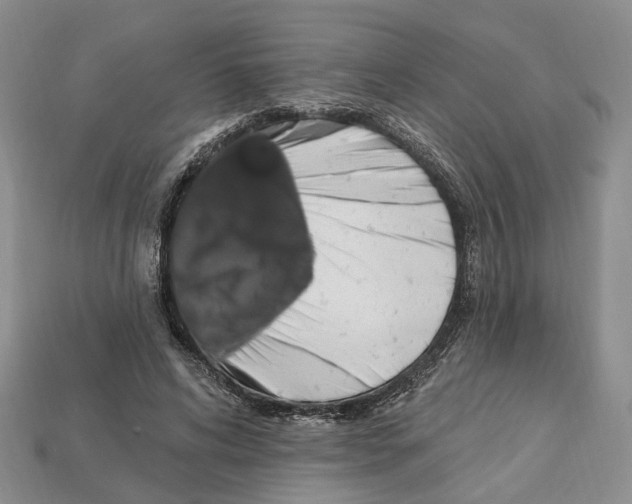 X0000113050592200909241457