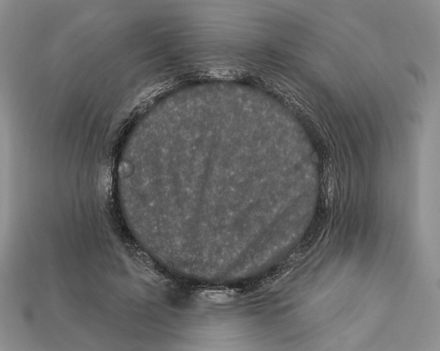 X0000113050595200909241457