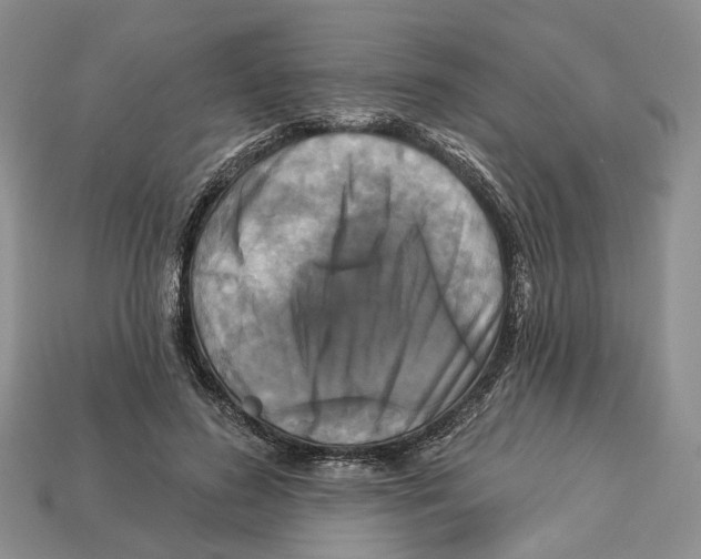 X0000113050596200909241457