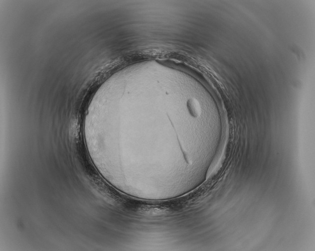 X0000113050597200909241457