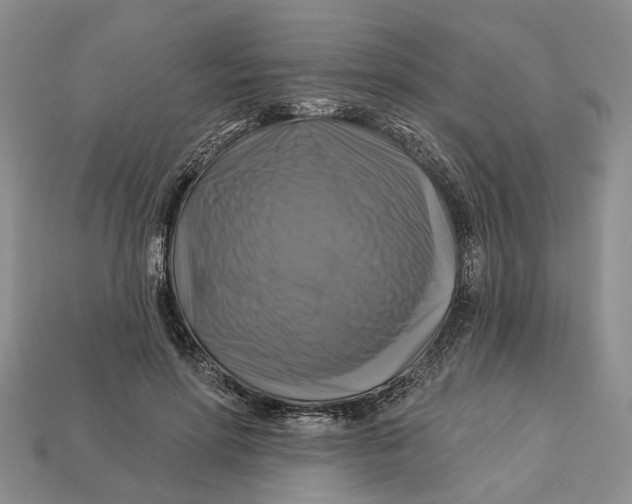 X0000113050598200909241457