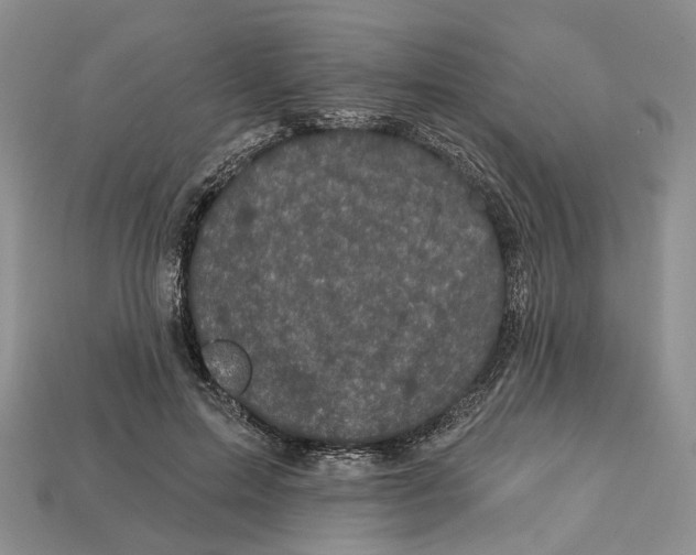 X0000113050599200909241457