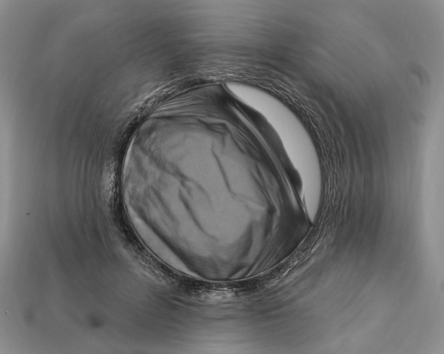 X0000113050600200909241457