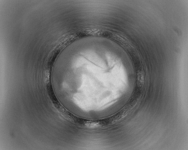 X0000113050602200909241457