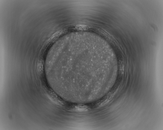 X0000113050603200909241457