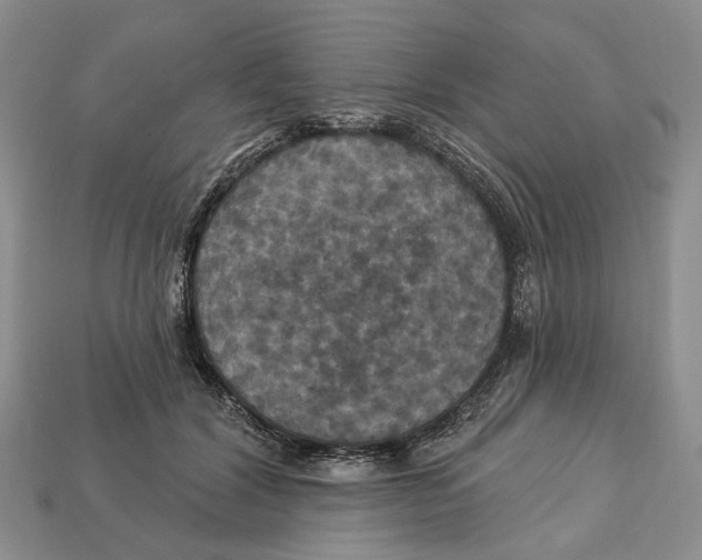 X0000113050604200909241457