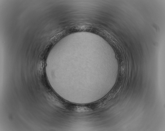 X0000113050605200909241457