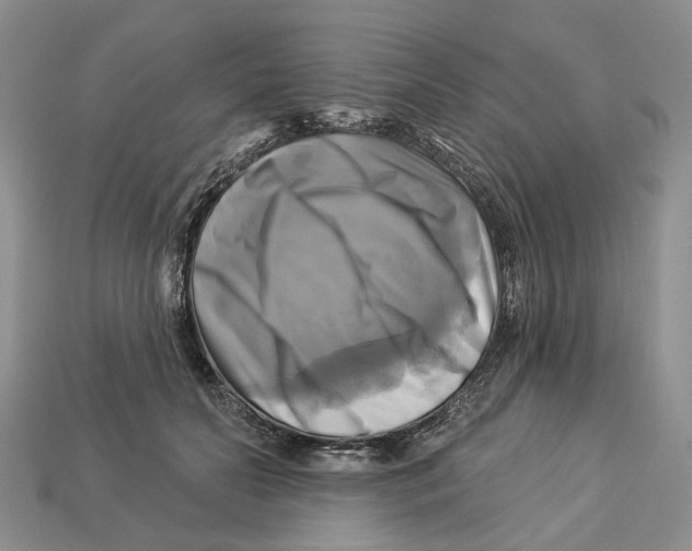 X0000113050606200909241457