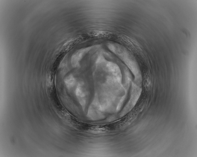 X0000113050607200909241457