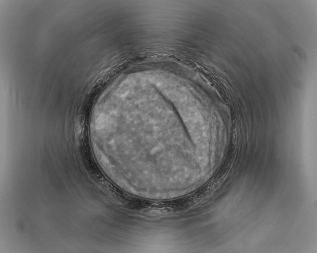 X0000113050608200909241457