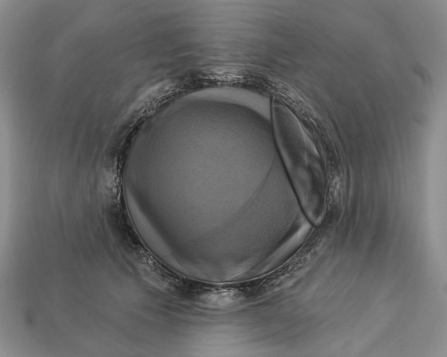X0000113050609200909241457