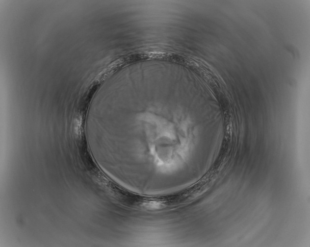 X0000113050610200909241456