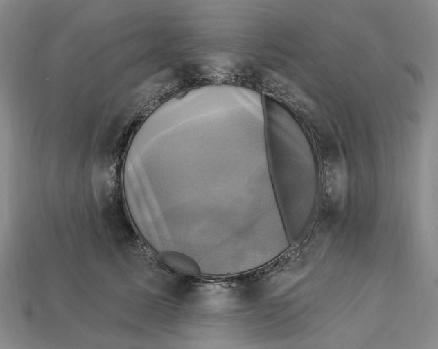 X0000113050611200909241456