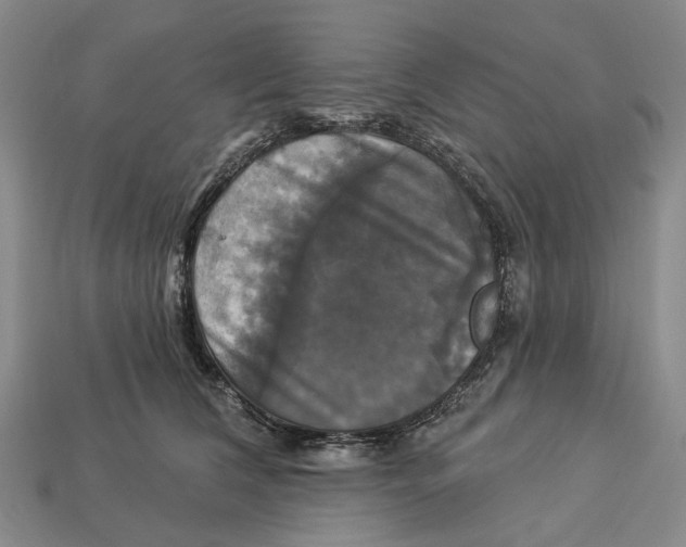 X0000113050612200909241456