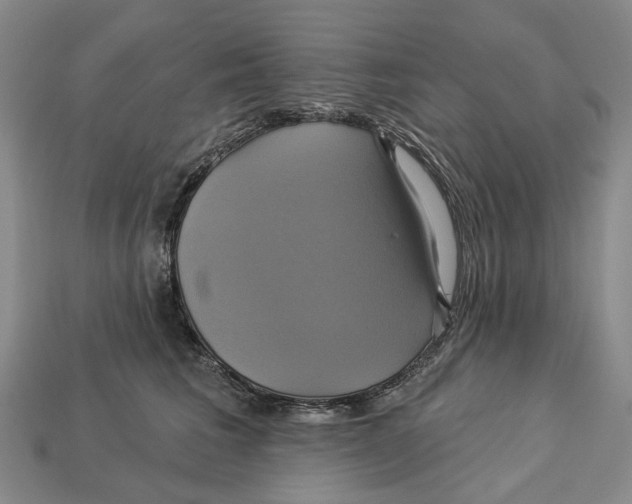 X0000113050613200909241456