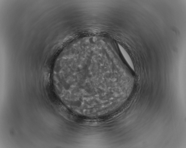 X0000113050615200909241456