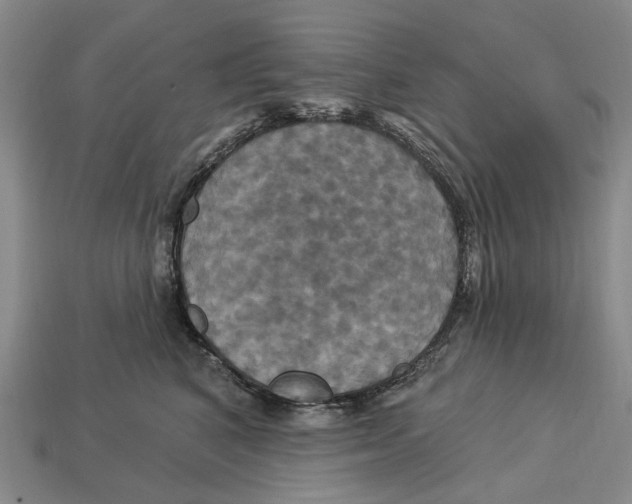 X0000113050616200909241456