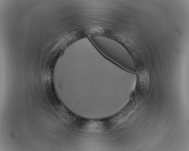 X0000113050617200909241456