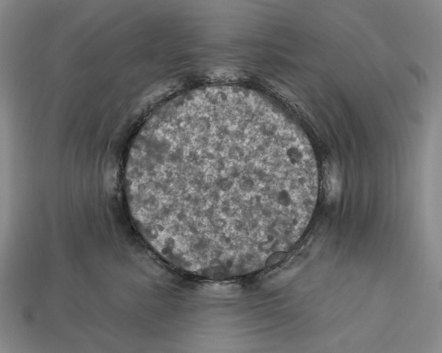 X0000113050619200909241456