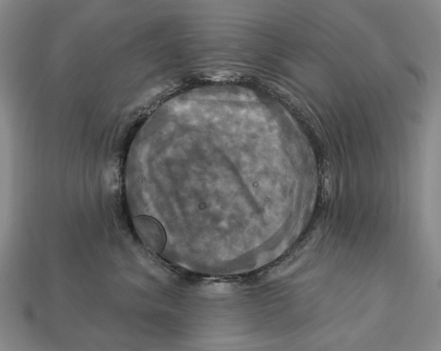 X0000113050620200909241456