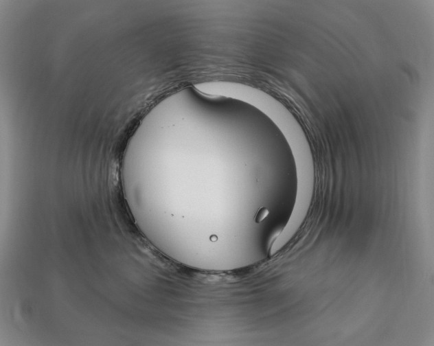 X0000113050621200909241456