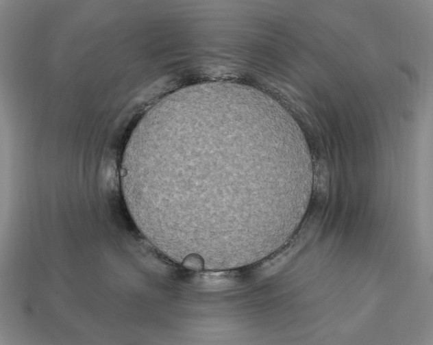 X0000113050622200909241456