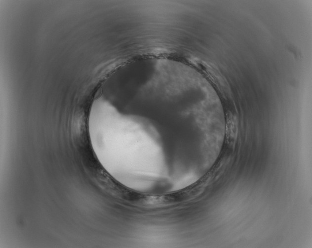 X0000113050623200909241456