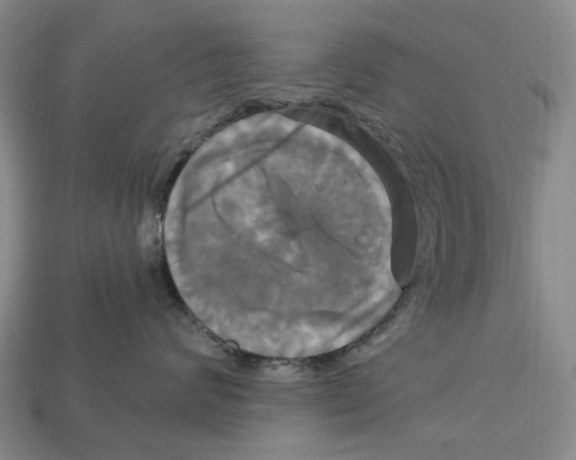 X0000113050624200909241456
