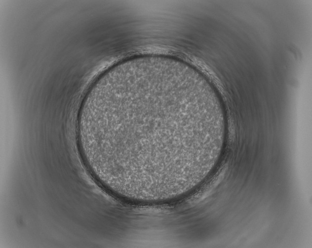 X0000113050625200909241456