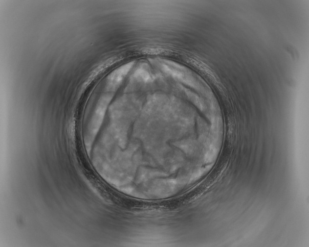 X0000113050626200909241456