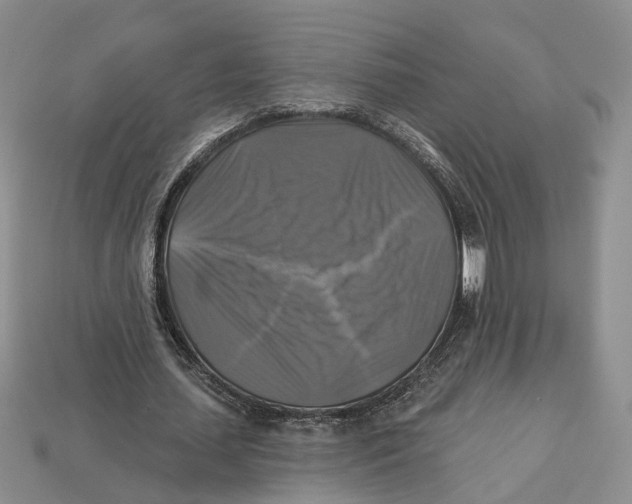 X0000113050627200909241456