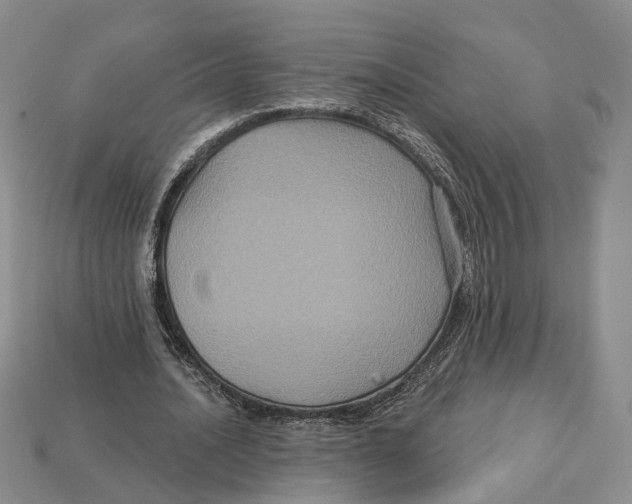 X0000113050628200909241456