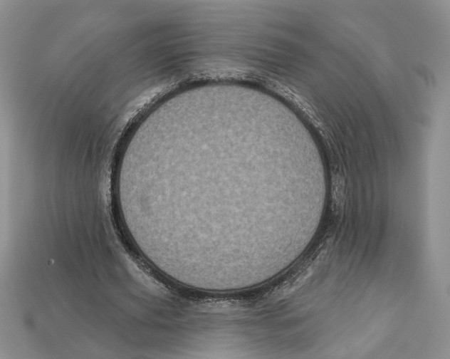 X0000113050629200909241456