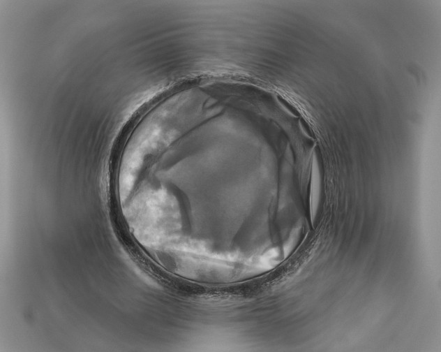 X0000113050630200909241456