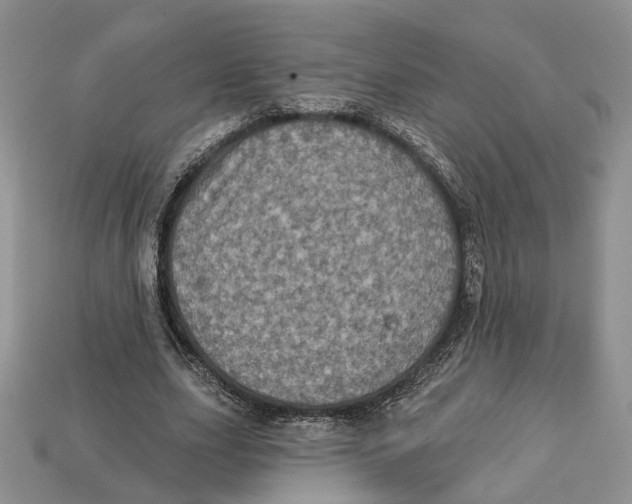 X0000113050631200909241456
