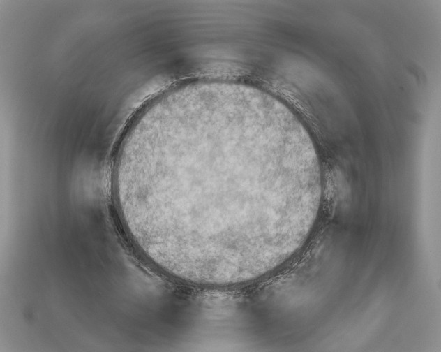X0000113050632200909241456
