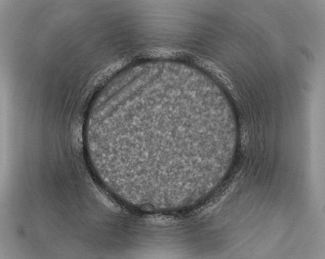X0000113050633200909241456