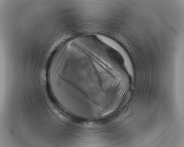 X0000113050634200909241456