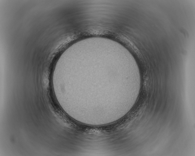 X0000113050635200909241456