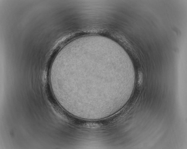 X0000113050636200909241456