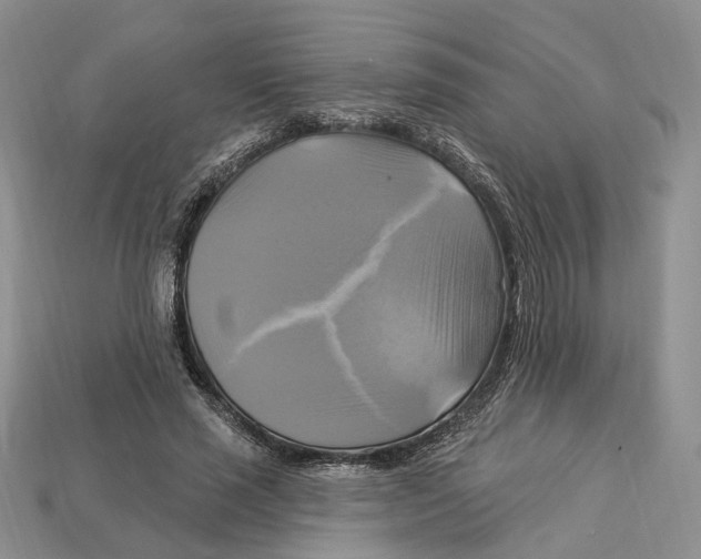 X0000113050637200909241456