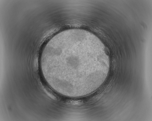 X0000113050638200909241456