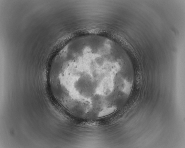 X0000113050639200909241456