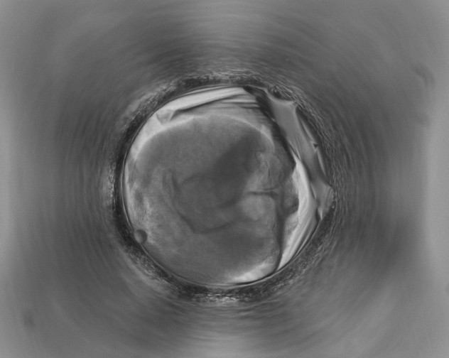 X0000113050640200909241456