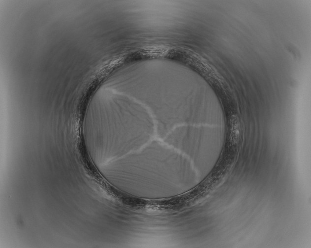 X0000113050641200909241456