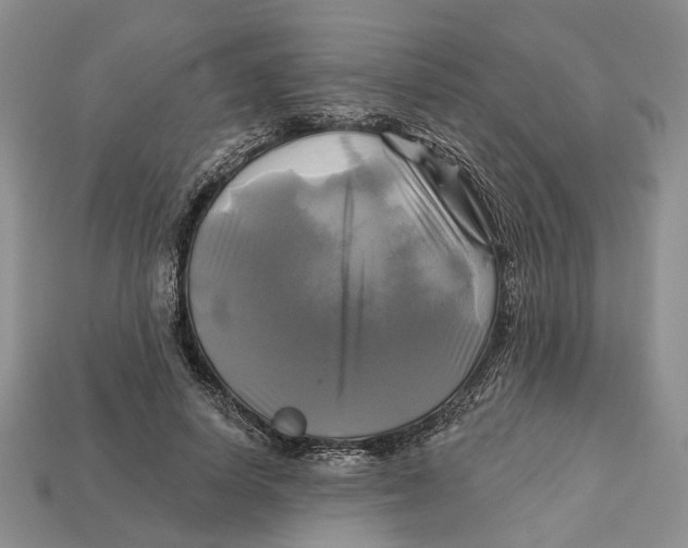 X0000113050642200909241456