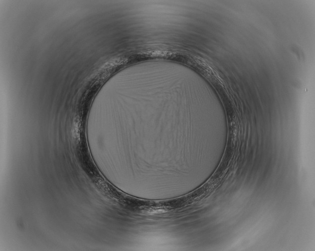 X0000113050643200909241456