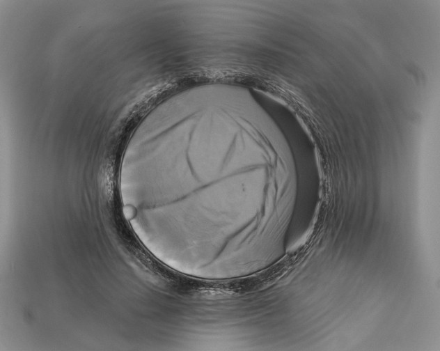 X0000113050644200909241456